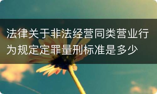 法律关于非法经营同类营业行为规定定罪量刑标准是多少