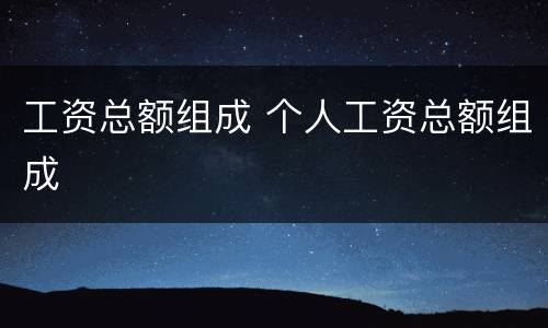 工资总额组成 个人工资总额组成