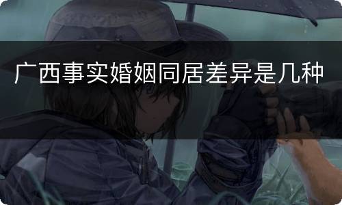 广西事实婚姻同居差异是几种