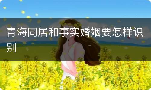 青海同居和事实婚姻要怎样识别