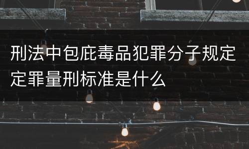刑法中包庇毒品犯罪分子规定定罪量刑标准是什么