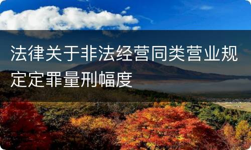 法律关于非法经营同类营业规定定罪量刑幅度