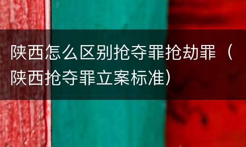 陕西怎么区别抢夺罪抢劫罪（陕西抢夺罪立案标准）