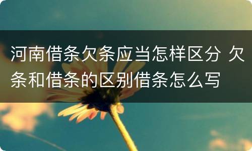 河南借条欠条应当怎样区分 欠条和借条的区别借条怎么写