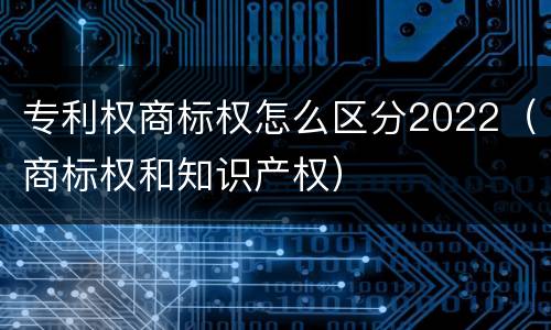 专利权商标权怎么区分2022（商标权和知识产权）