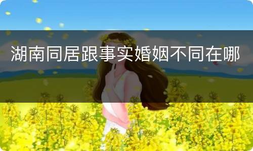 湖南同居跟事实婚姻不同在哪