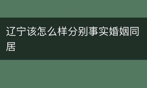 辽宁该怎么样分别事实婚姻同居