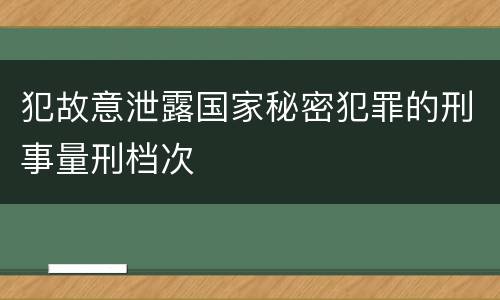犯故意泄露国家秘密犯罪的刑事量刑档次