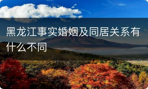 黑龙江事实婚姻及同居关系有什么不同