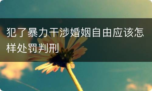 犯了暴力干涉婚姻自由应该怎样处罚判刑