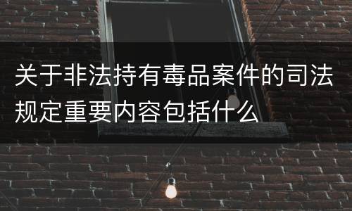 关于非法持有毒品案件的司法规定重要内容包括什么
