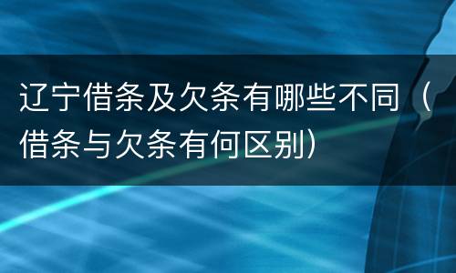辽宁借条及欠条有哪些不同（借条与欠条有何区别）