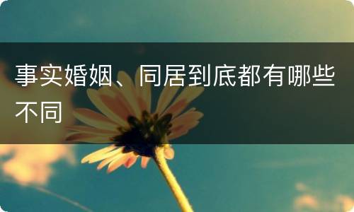 事实婚姻、同居到底都有哪些不同