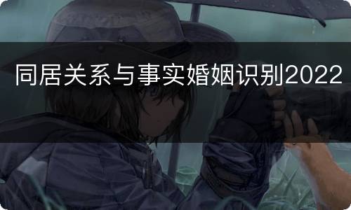同居关系与事实婚姻识别2022