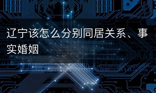 辽宁该怎么分别同居关系、事实婚姻
