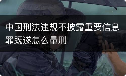 中国刑法违规不披露重要信息罪既遂怎么量刑