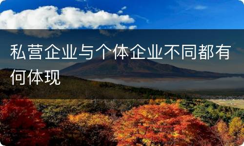 私营企业与个体企业不同都有何体现