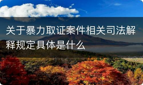 关于暴力取证案件相关司法解释规定具体是什么