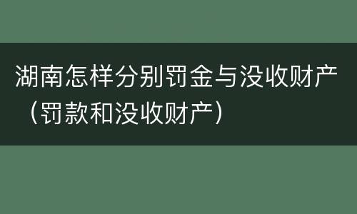 湖南怎样分别罚金与没收财产（罚款和没收财产）