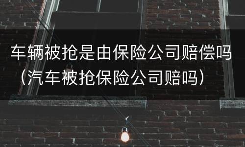车辆被抢是由保险公司赔偿吗（汽车被抢保险公司赔吗）