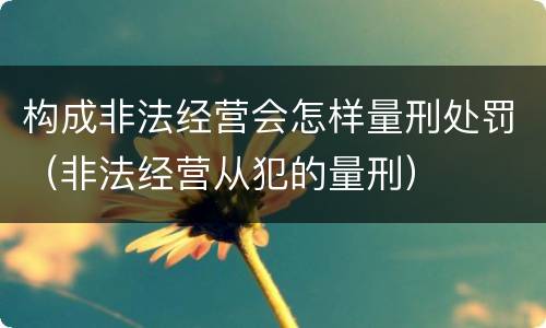 构成非法经营会怎样量刑处罚（非法经营从犯的量刑）