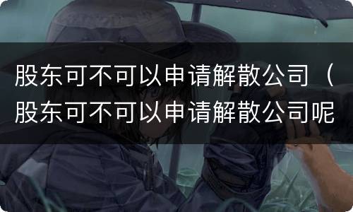 股东可不可以申请解散公司（股东可不可以申请解散公司呢）