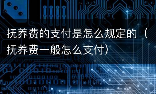 抚养费的支付是怎么规定的（抚养费一般怎么支付）