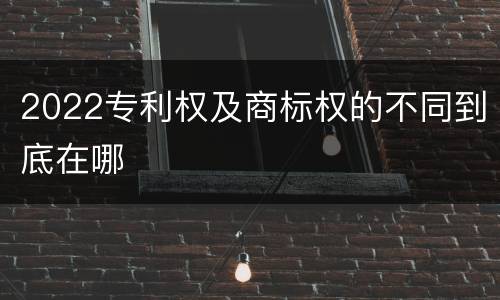 2022专利权及商标权的不同到底在哪