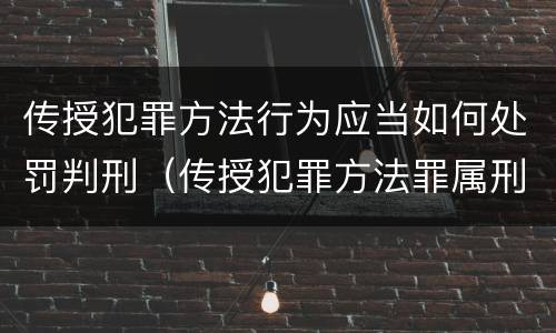 传授犯罪方法行为应当如何处罚判刑（传授犯罪方法罪属刑法规定的）