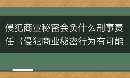 侵犯商业秘密会负什么刑事责任（侵犯商业秘密行为有可能承担哪些法律责任）