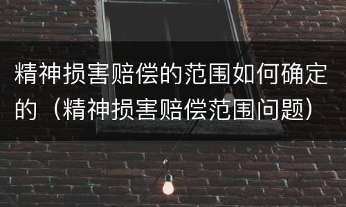 精神损害赔偿的范围如何确定的（精神损害赔偿范围问题）