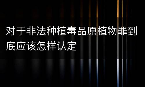 对于非法种植毒品原植物罪到底应该怎样认定
