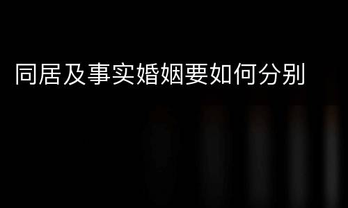 同居及事实婚姻要如何分别