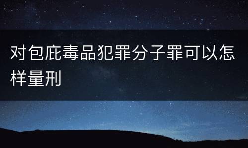 对包庇毒品犯罪分子罪可以怎样量刑