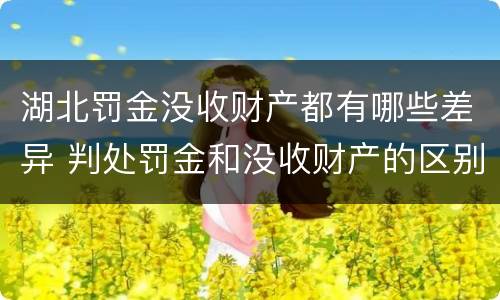 湖北罚金没收财产都有哪些差异 判处罚金和没收财产的区别