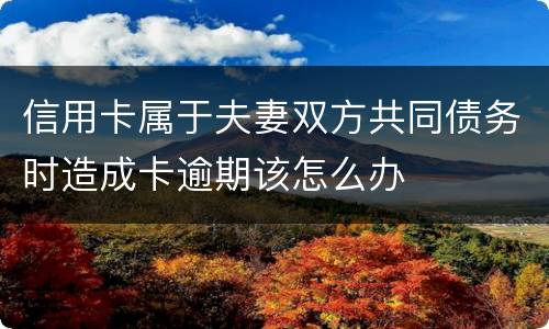 信用卡属于夫妻双方共同债务时造成卡逾期该怎么办