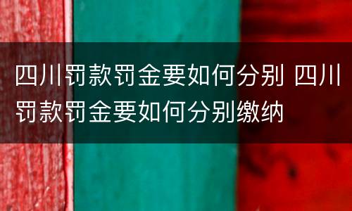 四川罚款罚金要如何分别 四川罚款罚金要如何分别缴纳