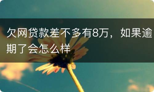 欠网贷款差不多有8万，如果逾期了会怎么样