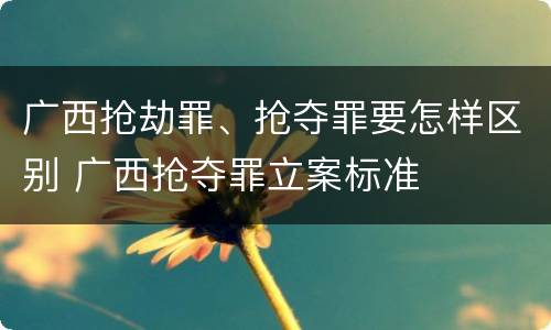 广西抢劫罪、抢夺罪要怎样区别 广西抢夺罪立案标准