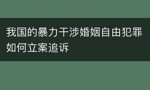 我国的暴力干涉婚姻自由犯罪如何立案追诉