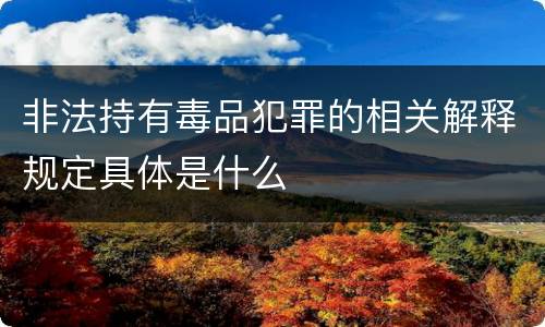 非法持有毒品犯罪的相关解释规定具体是什么