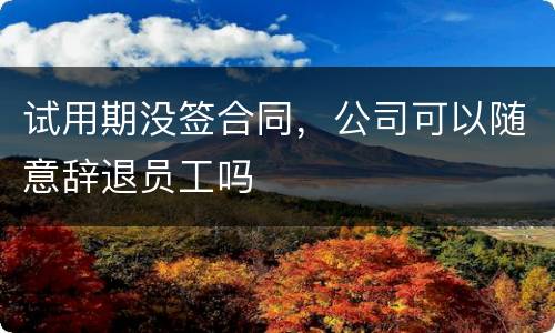 试用期没签合同，公司可以随意辞退员工吗
