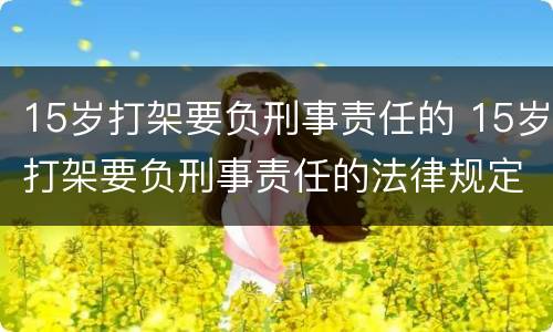 15岁打架要负刑事责任的 15岁打架要负刑事责任的法律规定