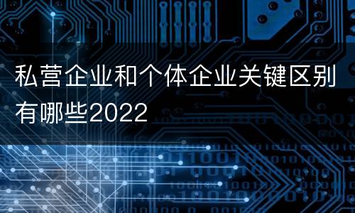 私营企业和个体企业关键区别有哪些2022