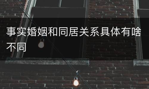 事实婚姻和同居关系具体有啥不同