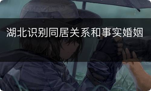 湖北识别同居关系和事实婚姻
