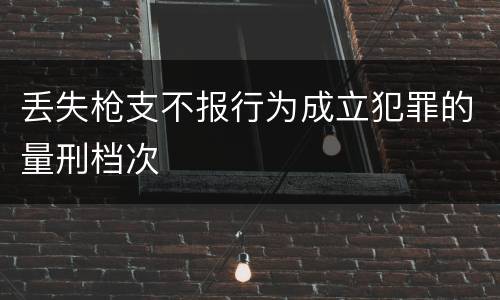 丢失枪支不报行为成立犯罪的量刑档次