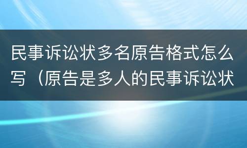 民事诉讼状多名原告格式怎么写（原告是多人的民事诉讼状范文）