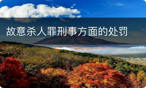 故意杀人罪刑事方面的处罚