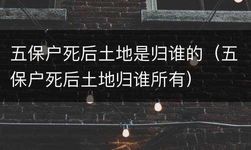 五保户死后土地是归谁的（五保户死后土地归谁所有）